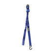 Load image into Gallery viewer, Thule Express Surf Strap - Stretchable Bungee for Roof Mounted Surfboard/SUP/Sailboard (Pair) - Blue - Main Product View