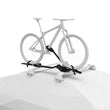 Load image into Gallery viewer, Thule ProRide XT - Upright Bike Carrier (Bikes up to 44lbs.) - Black - Back View