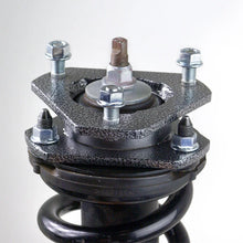 Load image into Gallery viewer, TrailFX 2.25 In Lift Strut Assembly Extension With/Diff Drop Spacers/Hardware T22LL1 - Side View
