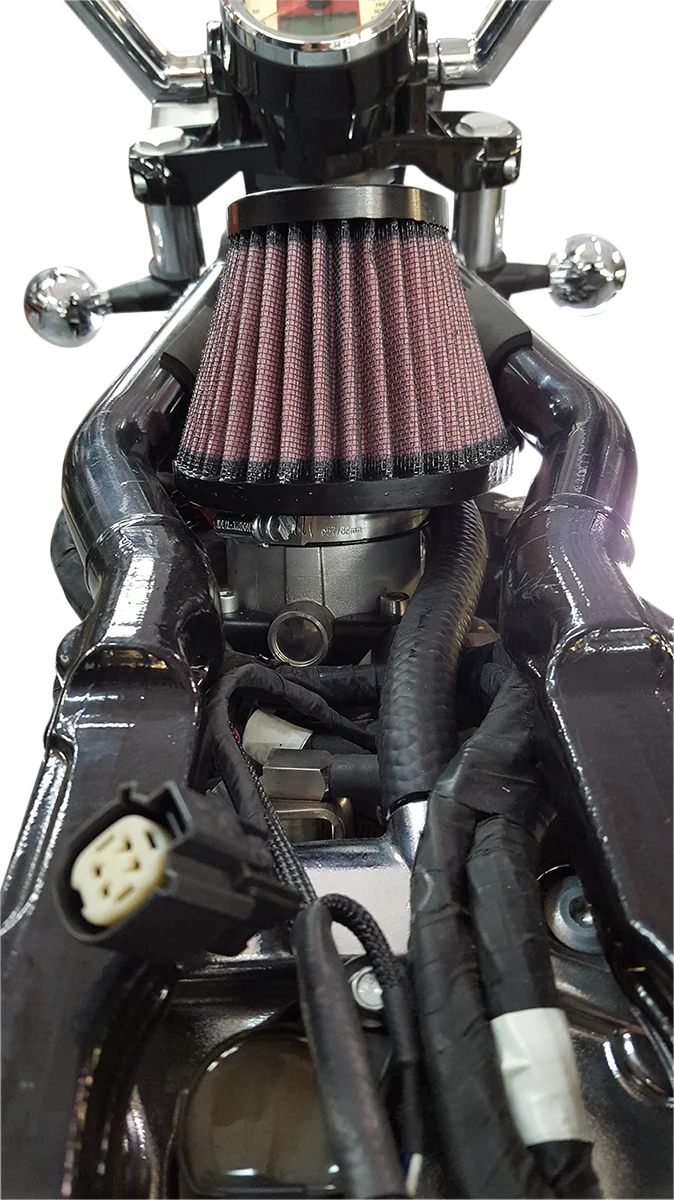 Trask Powerflow Air Cleaner Kit - Indian - Side View