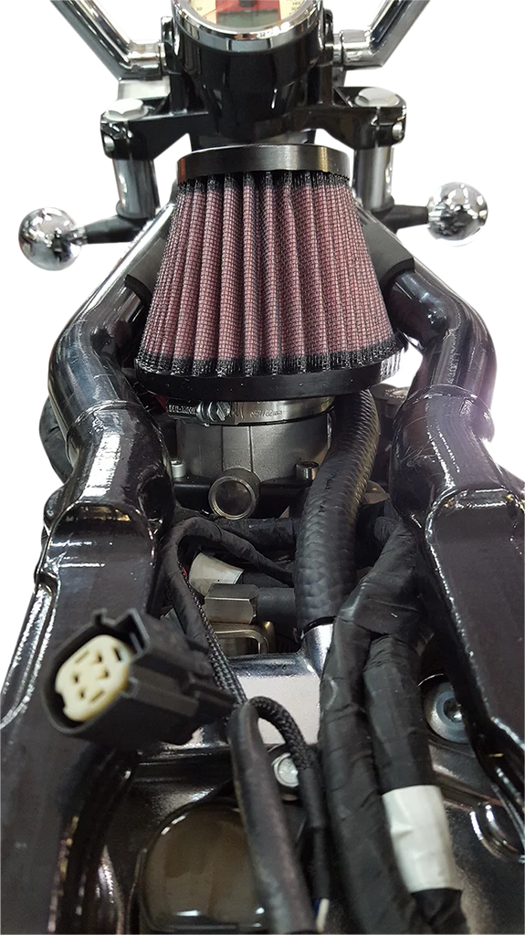 Trask Powerflow Air Cleaner Kit - Indian - Side View