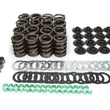 Load image into Gallery viewer, Trick Flow Valve spring upgrade kit Ford 289-351W TFS-2500100