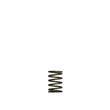 Load image into Gallery viewer, Turbosmart Gen-V WG38/40 3psi Black Inner Spring - Main Product View