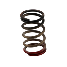 Load image into Gallery viewer, Turbosmart Gen-V WG40/45 HP 40 PSI Spring Upgrade - Black/Red - Main Product View