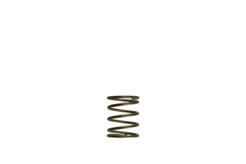 Turbosmart Gen-V WG45/50 3psi Orange Inner Spring - Main Product View