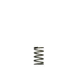 Load image into Gallery viewer, Turbosmart WG38/40 5psi Grey Inner Spring - Main Product View