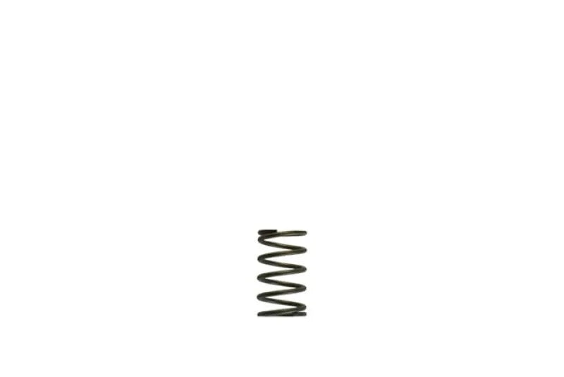 Turbosmart WG38/40 5psi Grey Inner Spring - Main Product View