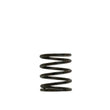 Load image into Gallery viewer, Turbosmart WG40 3PSI Inner Spring Brown/Black