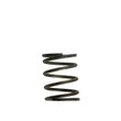 Load image into Gallery viewer, Turbosmart WG40 5PSI Inner Spring Brown/Grey