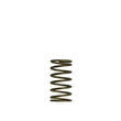 Load image into Gallery viewer, Turbosmart WG60 Gen-V 3psi Inner Spring - Main Product View