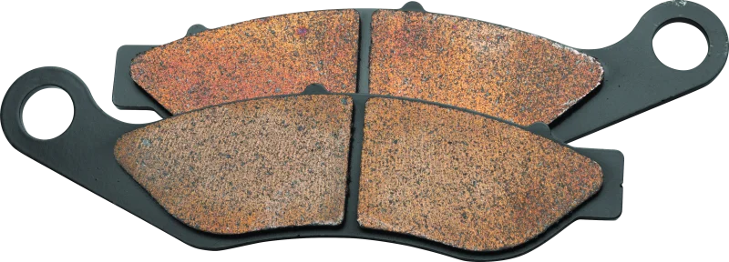 Twin Power 14-UP Trike Models Sintered Brake Pads Replaces H-D 41300027 Front