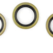 Load image into Gallery viewer, Twin Power 70-99 Big Twin Except 99 Twin Cam Cam Seals Replaces H-D 83162-52DL 5 Pk