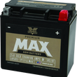 Load image into Gallery viewer, Twin Power GYZ-16HL Premium MAX Battery Replaces H-D 65958-04 Made in USA 240 CCA - Main Product View