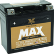 Load image into Gallery viewer, Twin Power GYZ-20HL Premium MAX Battery Replaces H-D 65989-97A Made in USA 320 CCA - Main Product View