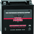 Load image into Gallery viewer, Twin Power YIX-30L High Performance Battery Replaces H-D 66010-97A Made in USA 400 CCA - Main Product View