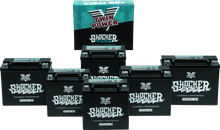 Load image into Gallery viewer, Twin Power YTX-14 Shocker Battery Replaces H-D 65948-00 220 CCA - Detail View