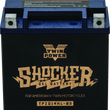 Load image into Gallery viewer, Twin Power YTX-14L Shocker Gel Battery Replaces H-D 65958-04 220 CCA - Main Product View