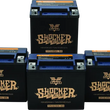 Load image into Gallery viewer, Twin Power YTX-14L Shocker Gel Battery Replaces H-D 65958-04 220 CCA - Side View