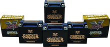 Load image into Gallery viewer, Twin Power YTX-14L Shocker Gel Battery Replaces H-D 65958-04 220 CCA - Side View