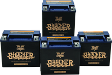 Load image into Gallery viewer, Twin Power YTX-14L Shocker Gel Battery Replaces H-D 65958-04 220 CCA - Installation View