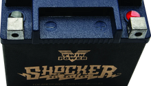 Load image into Gallery viewer, Twin Power YTX-14L Shocker Gel Battery Replaces H-D 65958-04 220 CCA - Additional View 5