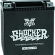 Load image into Gallery viewer, Twin Power YTX-30L Shocker Battery Replaces H-D 66010-97A 430 CCA