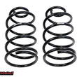 Load image into Gallery viewer, UMI Performance 64-66 GM A-Body Factory Height Springs Rear