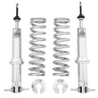 Load image into Gallery viewer, UMI Performance 93-02 GM F-Body Viking Front Coil Over Kit Double Adjustable- Polyurethane
