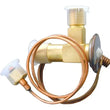 Load image into Gallery viewer, URO Parts Expansion Valve 1394712