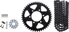 Load image into Gallery viewer, VORTEX Chain Kit - Black CK4216 - Main Product View
