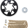 Load image into Gallery viewer, VORTEX Chain Kit - Gold CKG4218 - Main Product View