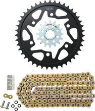 Load image into Gallery viewer, VORTEX Chain Kit - Gold CKG6470 - Main Product View