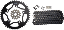 Load image into Gallery viewer, VORTEX Steel Chain Kit - Black CK6310 - Main Product View