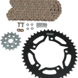 Load image into Gallery viewer, VORTEX Steel Chain Kit - Gold CKG6307 - Main Product View