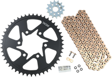 Load image into Gallery viewer, VORTEX Steel Chain Kit - Gold CKG6392 - Main Product View