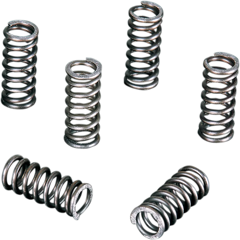 Vesrah Clutch Spring Set - Main Product View