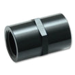 Load image into Gallery viewer, Vibrant 1/8in NPT Female Pipe Coupler Fitting - Aluminum - Main Product View