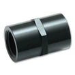 Load image into Gallery viewer, Vibrant 3/4in NPT Female Pipe Coupler Fitting - Aluminum - Main Product View