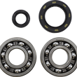 Load image into Gallery viewer, VintCo Main Bearing and Seal Kit - Honda - Main Product View
