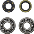 Load image into Gallery viewer, VintCo Main Bearing and Seal Kit - Kawasaki - Main Product View