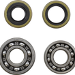 Load image into Gallery viewer, VintCo Main Bearing and Seal Kit - Kawasaki - Main Product View