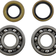 Load image into Gallery viewer, VintCo Main Bearing and Seal Kit - Kawasaki - Main Product View