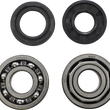 Load image into Gallery viewer, VintCo Main Bearing and Seal Kit - Maico - Main Product View