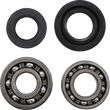 Load image into Gallery viewer, VintCo Main Bearing and Seal Kit - Suzuki - Main Product View