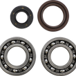 Load image into Gallery viewer, VintCo Main Bearing and Seal Kit - Suzuki - Main Product View