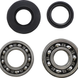 Load image into Gallery viewer, VintCo Main Bearing and Seal Kit - Suzuki - Main Product View