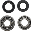 Load image into Gallery viewer, VintCo Main Bearing and Seal Kit - Suzuki - Main Product View