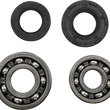 Load image into Gallery viewer, VintCo Main Bearing and Seal Kit - Suzuki - Main Product View