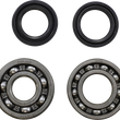 Load image into Gallery viewer, VintCo Main Bearing and Seal Kit - Yamaha - Main Product View