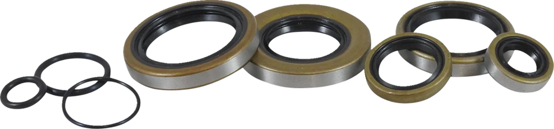 VintCo Oil Seal Kit - Kawasaki - Back View